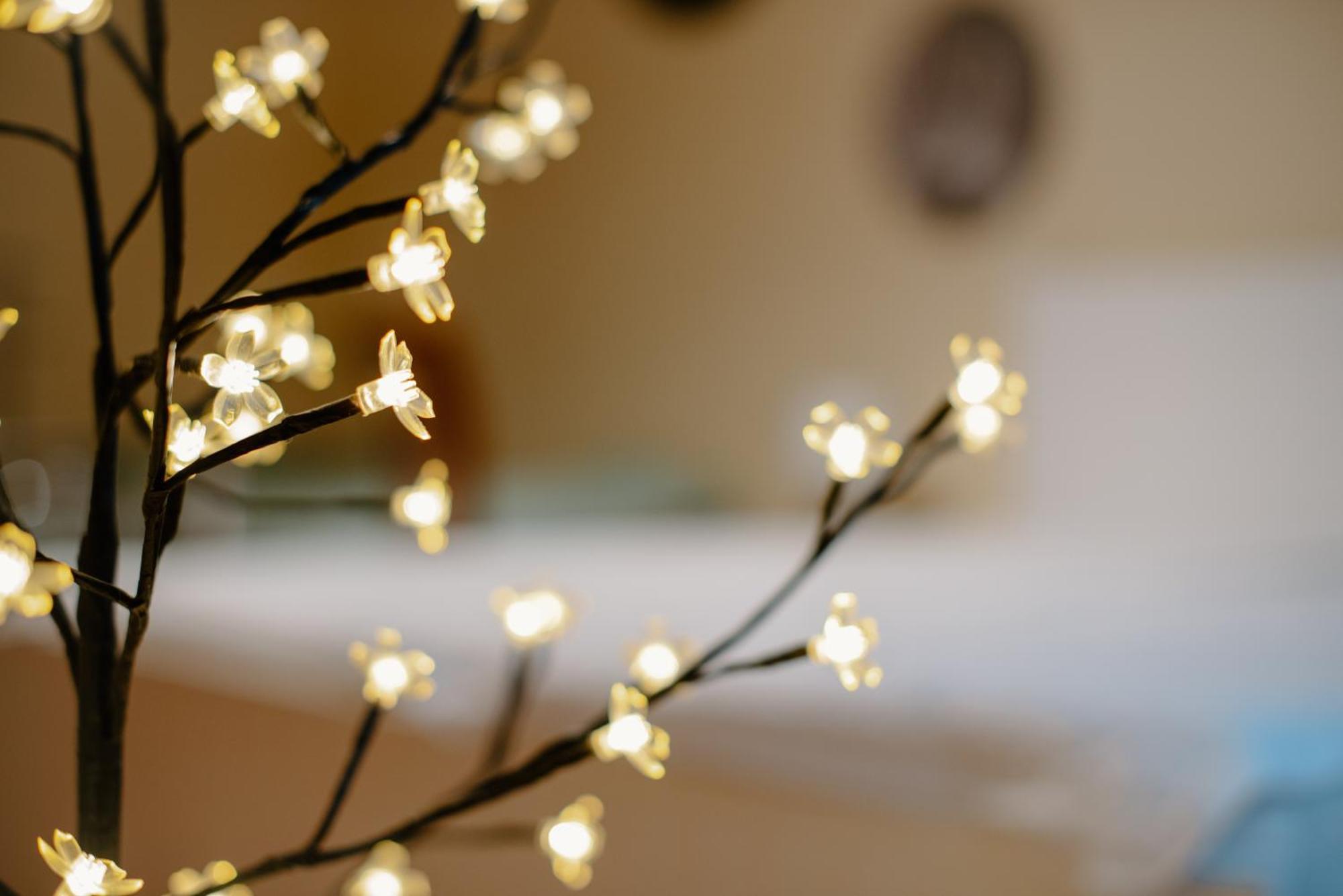 Apartman Dobre Rano Banská Štiavnica Buitenkant foto
